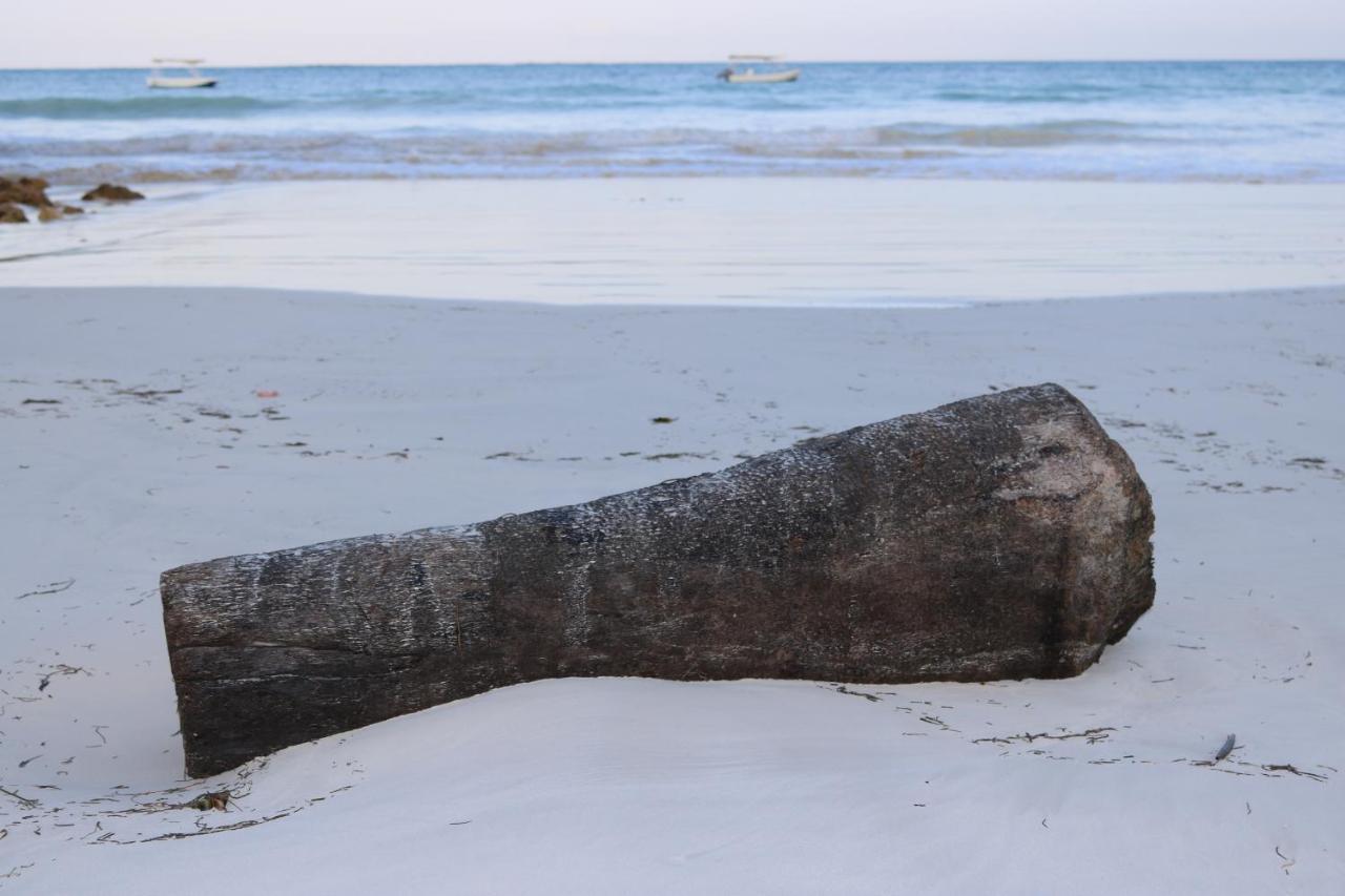 A Wonderful Beach Property In Diani Beach Kenya.A Dream Holiday Place. Момбаса Экстерьер фото